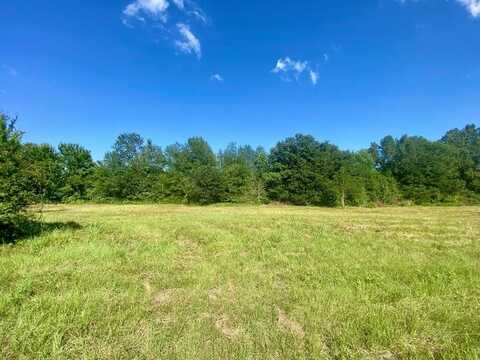 Lot #136 JB McDuff Drive, Crockett, TX 75835