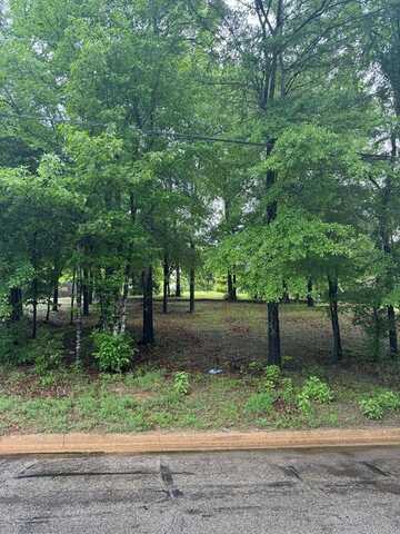 Lot B-2 Tanglewood Circle, Nacogdoches, TX 75961