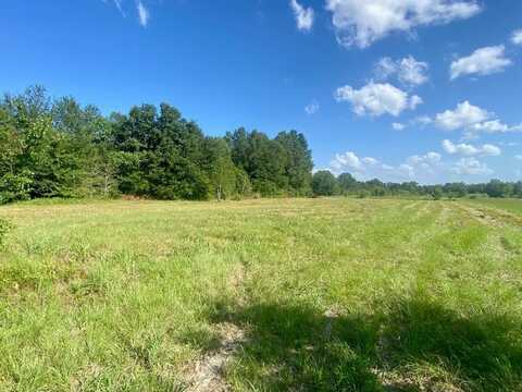 Lot #133 JB McDuff Drive, Crockett, TX 75835