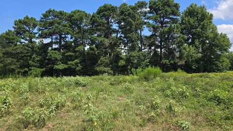 Lot 8 CR 3203, Mount Enterprise, TX 75681