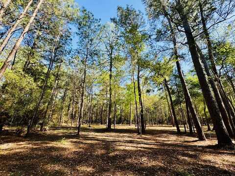 Lot 13A Texas Grand Road, Huntsville, TX 77320