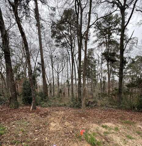 Lot 10 Waterford Circle, Nacogdoches, TX 75965