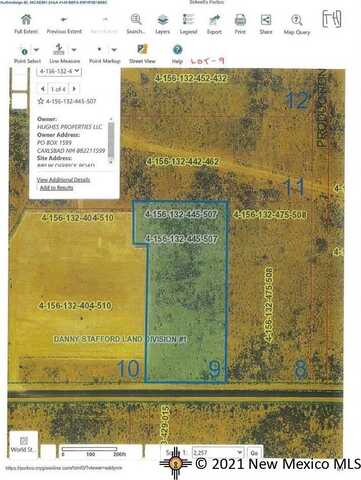 880 W Derrick Road, Carlsbad, NM 88220