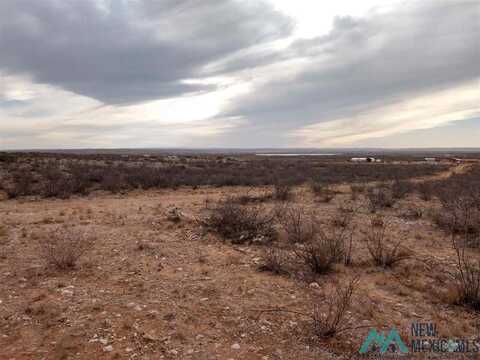 Lot 6 Illinois Camp Road, Carlsbad, NM 88220