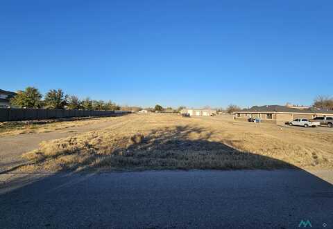 1801 N Guadalupe Street, Carlsbad, NM 88220