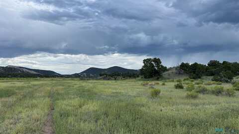 Nm - 603 Road, Quemado, NM 87829