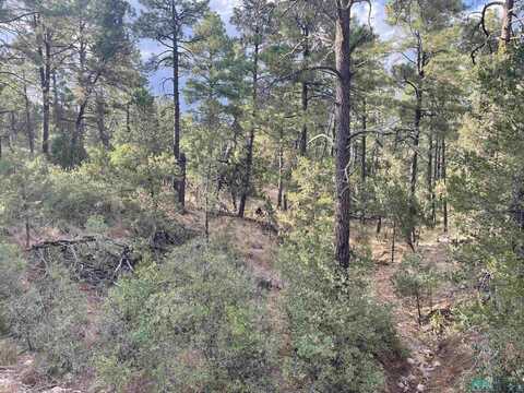 19 Buckwood Drive, Timberon, NM 88350