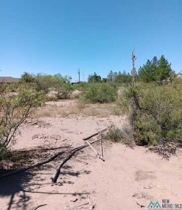 0000 Majestic View Rd Street, Deming, NM 88030