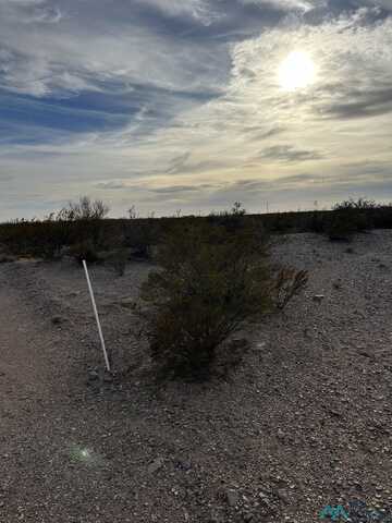 Roadrunner Lane Lot 8, Columbus, NM 88029