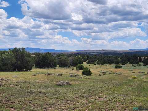 Cimarron Drive, Quemado, NM 87829