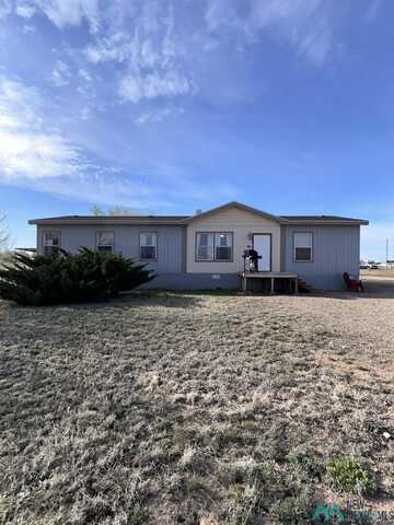 60 Carson City Road, Dexter, NM 88230