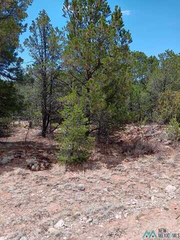 Lot 53 Johnnys Drive, Timberon, NM 88350