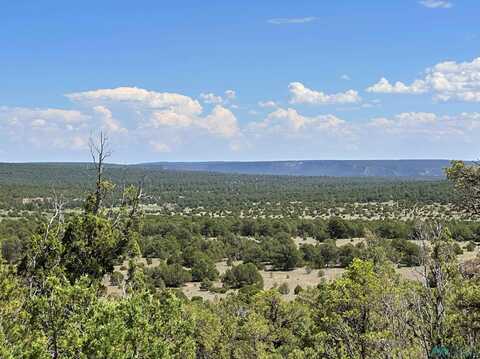 Lot 7 Tierra De Dios, Rowe, NM 87562