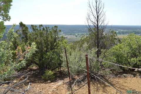 2 Acres Tbd Savoya Road, Ramah, NM 87020