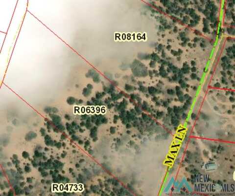 Lot 21 Tbd Max Lane, Candy Kitchen, NM 87321