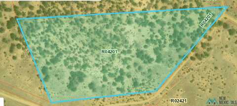 Lot 5 Tbd Meadowland Road, Pinehill, NM 87357