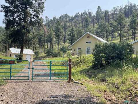 22 Pine Tree Road, Buena Vista, NM 87712