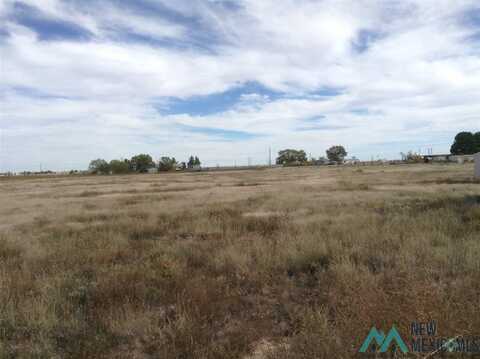 Melton Court, Dexter, NM 88230