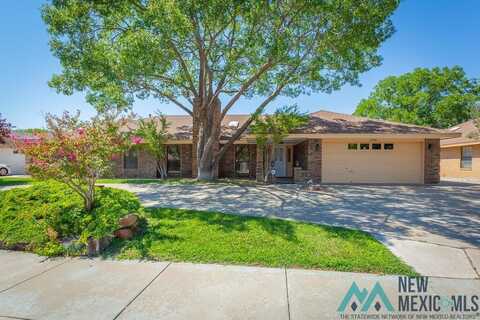 1206 San Juan Drive, Roswell, NM 88201