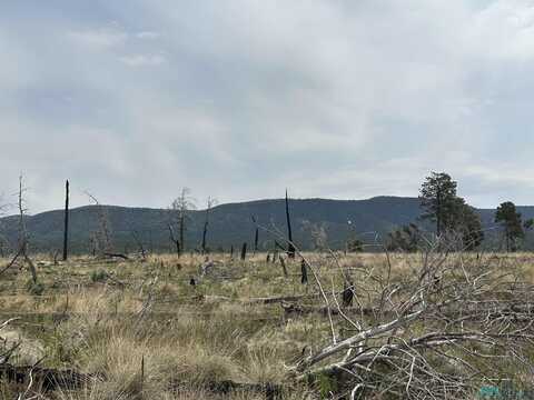 11 Tokatee Court, Timberon, NM 88350