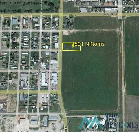 501 N Norris Street, Clovis, NM 88101