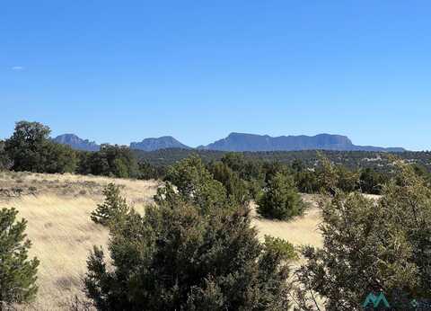 89 Ponderosa Views Loop, Pie Town, NM 87827