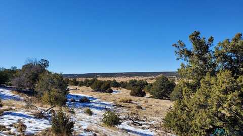 Indian Maiden Court, Quemado, NM 87829