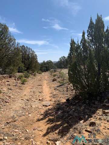 2641 County Road C53a Road, Las Vegas, NM 87701