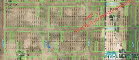 Tbd Lot 1 Ave G Avenue, Lovington, NM 88260