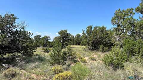 W Homestead Road, Fence Lake, NM 87315