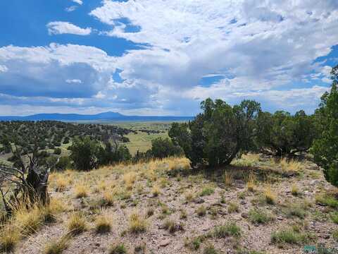 12 Filly Circle, Quemado, NM 87829