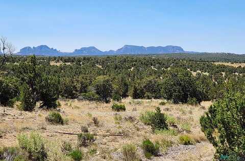 86 Ponderosa Ranches Path, Pie Town, NM 87827