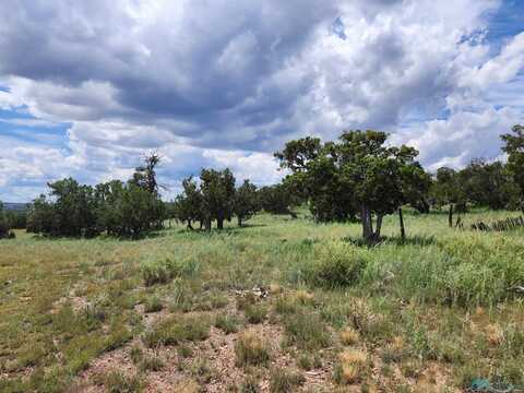 Cimarron Drive, Quemado, NM 87829