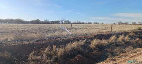 234 S Roosevelt U Road, Portales, NM 88130