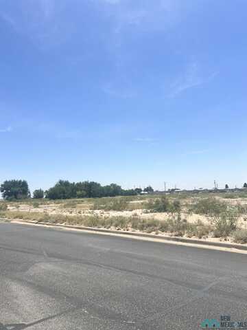 Tbd Mesquite Street, Jal, NM 88252