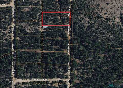 Lot 9 Trailer Road, Timberon, NM 88350