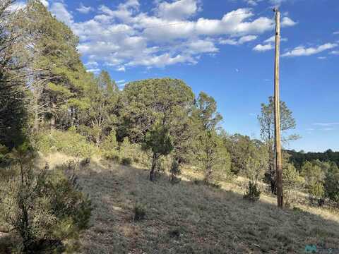 24 Edgewood Drive, Timberon, NM 88350