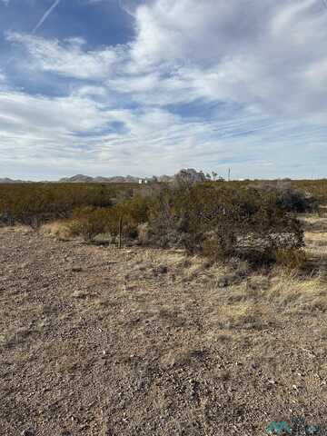 Coyote Lane Lot 19, Columbus, NM 88029