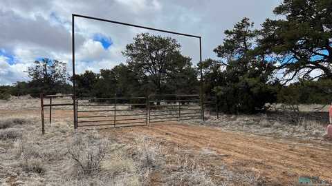 Westside Way Road, Fence Lake, NM 87315