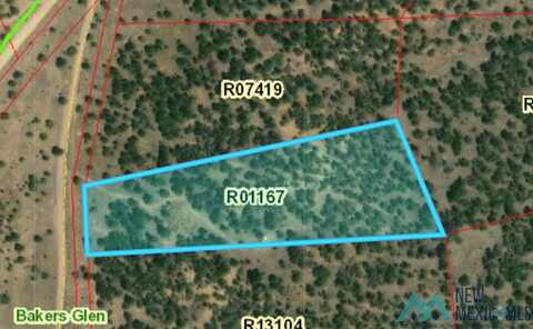 Lot 17-a God's Acre Road, Pinehill, NM 87357