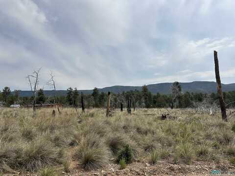 37 Coshacion Drive, Timberon, NM 88350