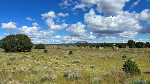 Buckhorn Circle, Pie Town, NM 87827