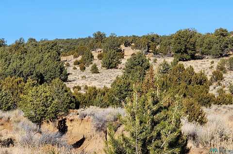 Ponderosa Ranches Trail Road, Pie Town, NM 87827