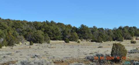 Tbd Sierra De Manana Drive, Candy Kitchen, NM 87321