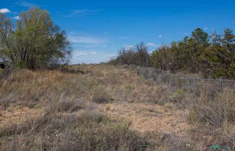 Lot: 1 Block 11, Willard, NM 87063