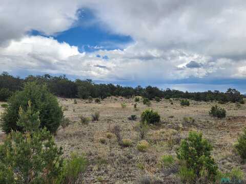 14 Conifer Circle Road, Pie Town, NM 87827