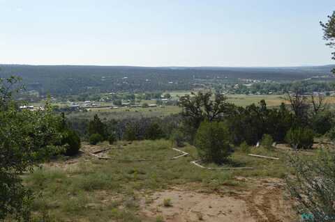 5 Acres Tbd Savoya Road, Ramah, NM 87020