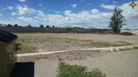 00000 Gila Ct Street, Deming, NM 88030