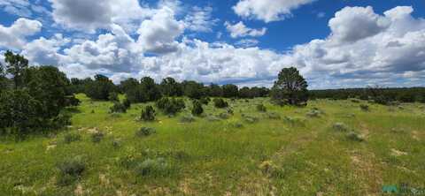 205 Vista Grande Road, Pie Town, NM 87827