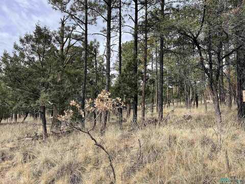 Lot 7 Carson Drive, Timberon, NM 88350